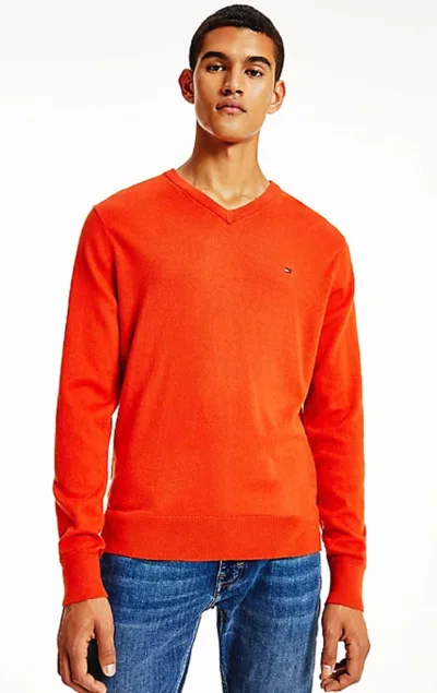 Pulover Tommy Hilfiger | L